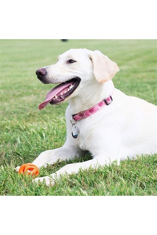 Chuckit Air Ball Köpek Oyun Topu Orta Boy 6,5 Cm 260-50004.01