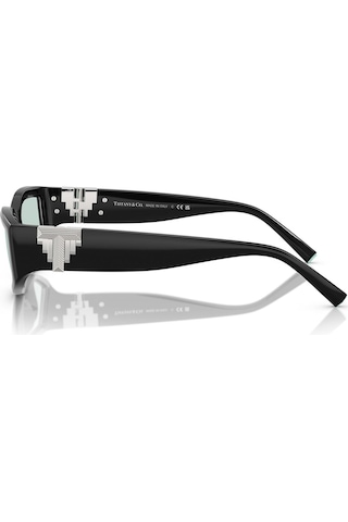 Tiffany Tf4234u 8001d9 55 Unisex Güneş Gözlüğü Siyah