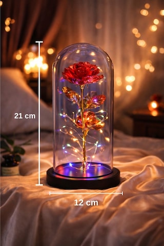 Sevgiliye Özel Günlere Dekoratif Hediye Fanus İçinde Solmayan Led Işıklı Hologram Sonsuz Gül Kırmızı Çok Renkli