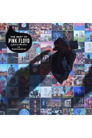 The Best Of Pink Floyd: A Foot In The Door Double Lp Plak