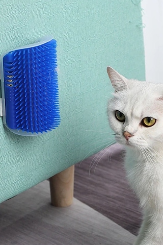 Thentech Kedi Kaşınma Aparatı Duvara Koltuğa Masaya Sabitlenebilir Kedi Kaşınma Sürtünme Aparatı