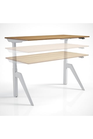 Regula Desk Dandy M - Elektrikli Yükseklik Ayarlı Çalışma Masası, Sıradışı Tasarım, Çift Motorlu Bluetooth K Çok Renkli