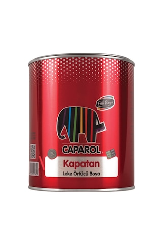 Filli Boya Kapatan Leke Örtücü Boya