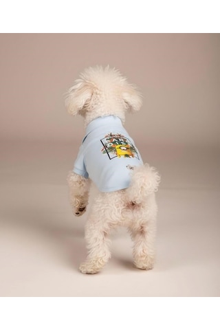 Miniş Paradise Küçük Irk Köpek Pike Kumaş Polo T-shirt-21594