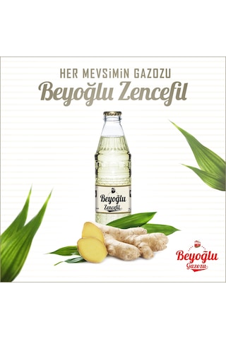 Beyoğlu Gazozu Zencefilli 250 Ml X 24 Adet