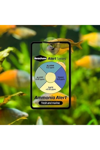 Seachem Alert Combo - Ph+ Ammonia Göstergesi