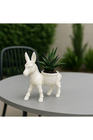 Donkey Sukulent & Kaktüs Dekoratif Saksı