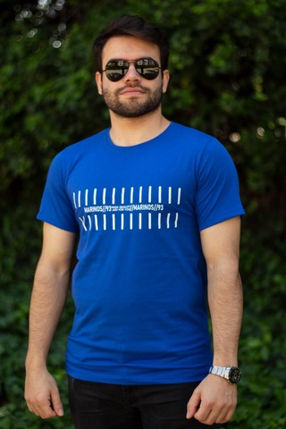 Erkek Mavi Çizgi Baskılı Normal Kesim Bisiklet Yaka Erkek Tişört 22etshmros 001