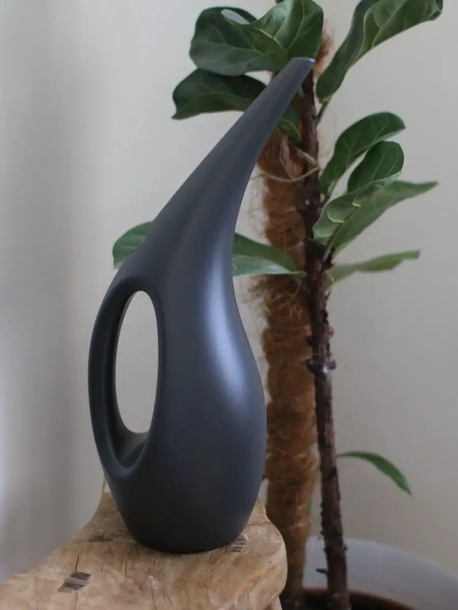 Zeytin Home İç Mekan Çiçekleri İçin Sulama Kasesi 75979410