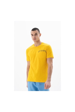 AR-MA Arma Erkek Regular Fit Bisiklet Yaka Tişört Y25344405501 Sarı