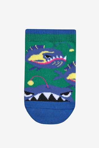 Penti Erkek Çocuk Deep Sea 4lü Patik Çorap Çok Renkli