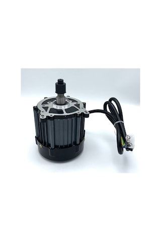 0053 3 Teker Kasalı Arka Motor 60v 72v 1200w