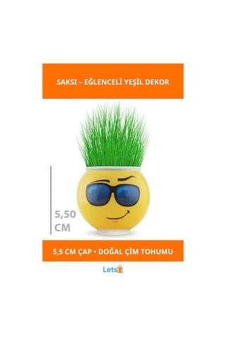 Eğlenceli Emoji Figürlü Çim Adam Saksı 5,5 Cm 1 Adet