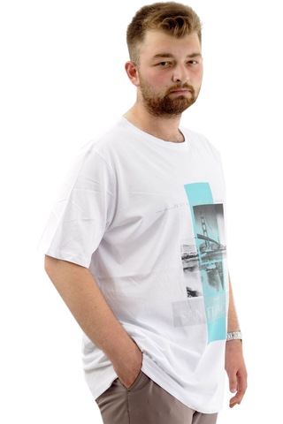 Battal Beden Erkek Pamuklu T-shirt Yumuşak Dokulu Baskılı Francıs