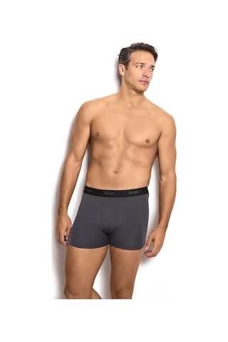 Jiber Erkek Füme Modal Pamuklu Boxer 321-Füme