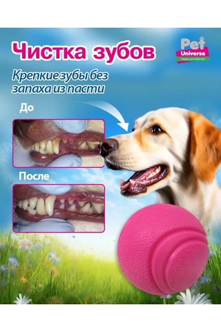 Pet Universe Köpekler İçin Dayanıklı Top Oyuncak 6 Cm 89 Gram Pu3052pk 198986249