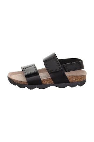 Superfit Jellies Kız Çocuk Siyah Mantar Soft Tabanlı Sandalet Siyah