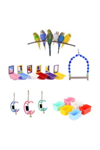 Purecanpati Fit Fly Kuş Aksesuar Oyuncak Set