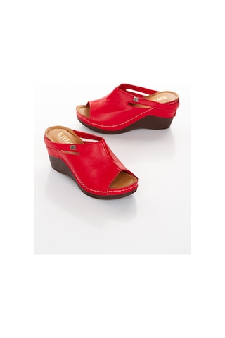 Hakiki Deri Dolgu Topuk Kadın Terlik