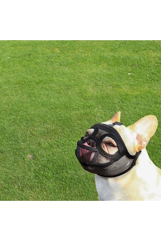 Homyl Ayarlanabilir Pet Köpek Dil-çıkartılmış-siyah-l