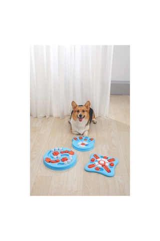 M-pets Braıny Games Eınsteın Puzzle 3.seviye
