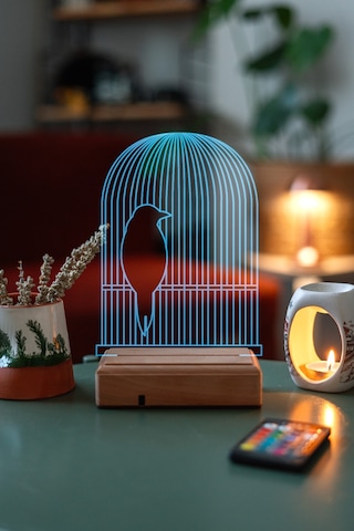 Kafeste Kuş Ev 16 Renk Kumandalı 3d Gece Lambası
