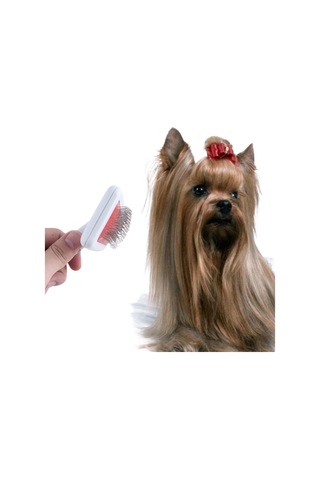 Paslanmaz Evcil Hayvan Kedi Köpek Tüy Tarama Toplama Fırçası Kolay Temizlenir Bakım Aleti 5440