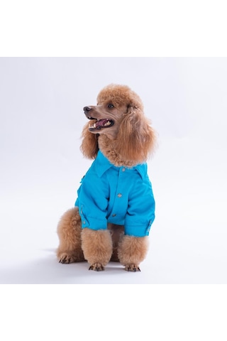 Turkuaz Cancun - Cancún Ceket Gabardin Çıtçıtlı Kedi Köpek Ceketi Kedi Köpek Kıyafeti Kedi Köpek Elbisesi