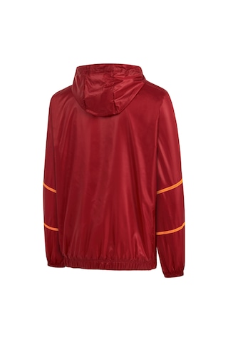 Puma Galatasaray S.k. 24/25 Erkek Antrenman Ceketi 779694 01