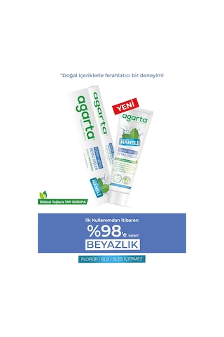 Naneli Florürsüz Ferah Nefes Diş Macunu, 100 Ml