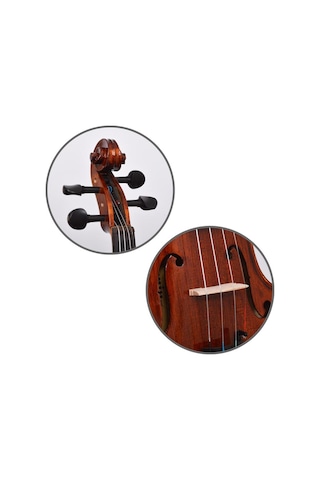 Dominguez Dvpg34-p1 Profesyonel Keman 3/4 Seçilmiş Ağaçlar Zengin Harmonikler