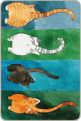 Çok Renkli Kedi Desenli Kapı Önü Paspası Kp03n11