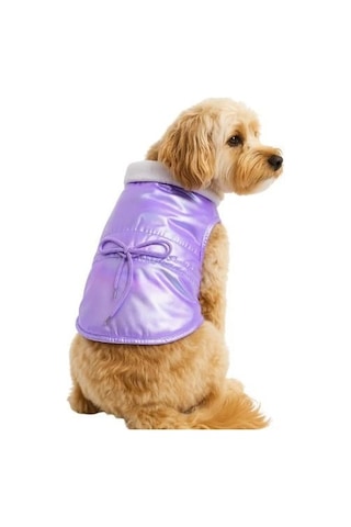 Gedyco Shiny LKalın Polarlı Küçük Irk Köpek Yeleği Çok Renkli XL