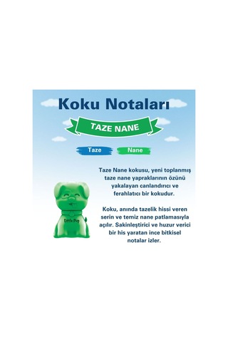 Little Joe Little Pup Taze Nane Araç Kokusu Minty Fresh -45 Gün