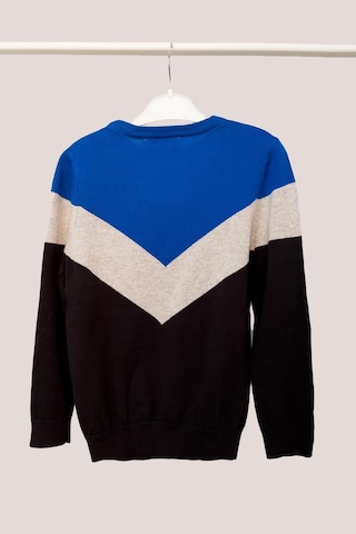 Alexandergardi Erkek Çocuk Desenli Kazak C21-18676 001