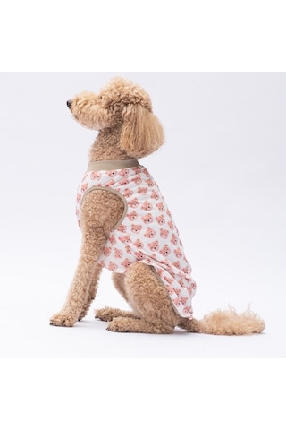 Cute Bears Büyük Köpek Tişörtü - Köpek Kıyafeti 15 Kg-45 Kg