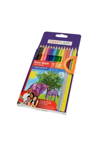 Craft And Arts 12+2'li İnce Kuru Kalem Boya Seti