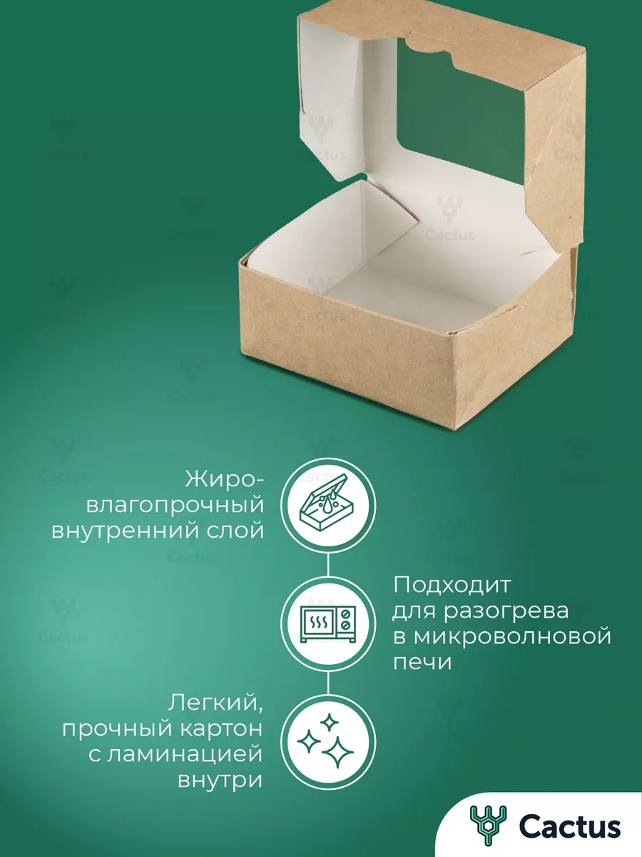 Cactus Kraft Pencereli Paketleme İle Hediye Kutusu 171153405