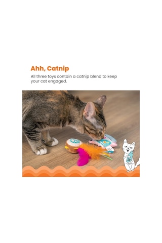 Festival Catnipli Kedi Çiğneme Oyuncağı 3' Lü Paket