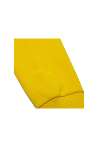 Puma Hoodie Nordics Blank Sarı Siyah