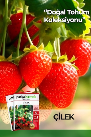 75 Adet Yerli Ata Sarmaşık Çilek Tohumu