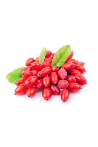 Bahçevilya 2 Yaşında Gojiberry Fidanı Tüplü
