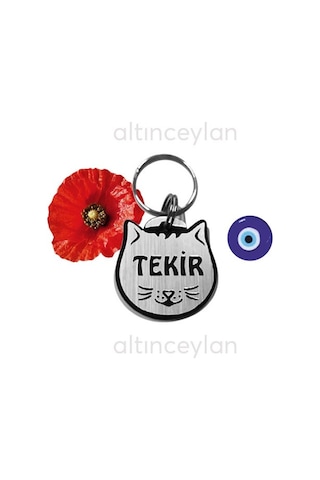 Altınceylan Kedi Isim Künyesi Kedi Isimlik Kaybolursam Lütfen Ara