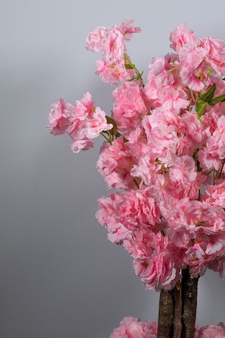 Yapay Çiçekçiniz Beyaz Saksıda 100 Cm Bahar Dalı Ağacı pembe