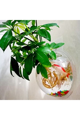 Kangvka 24 Adet Transparent Süper Yapışkan Paslanmaz Çelik Duvar Kanca - 10kg Yük Kapasitesi, Suya Dayanıklı, Ev & Otel Kullanıma Uygun