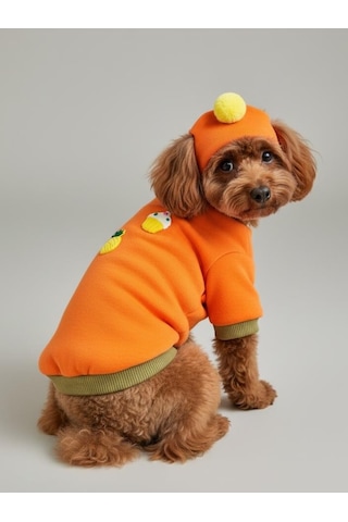 Kemique Pineapple And Ice Cream Turuncu Haki Bereli Köpekler İçin Polar Sweatshirt Takım