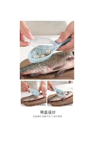 Manuel Balık Pulu Planya Ev Kazıma Balık Pulu Eser Pembe Pembe