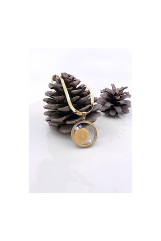 22 Ayar Çeyrek Altınlı Şeffaf Çerçeveli Çelik Kolye