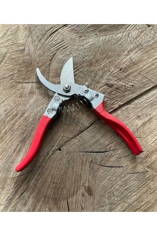 Pruning Bağ Budama Makası Elma Kiwi Bitki Budama Makası 215Mm