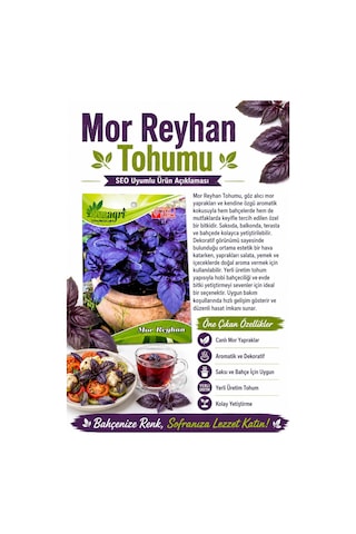 Mor Reyhan Tohumu Yoğun Kokulu Mor Yapraklı Reyhan Tohumu